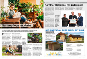 S.W.B. Solid Wood Bricks in der Zeitung